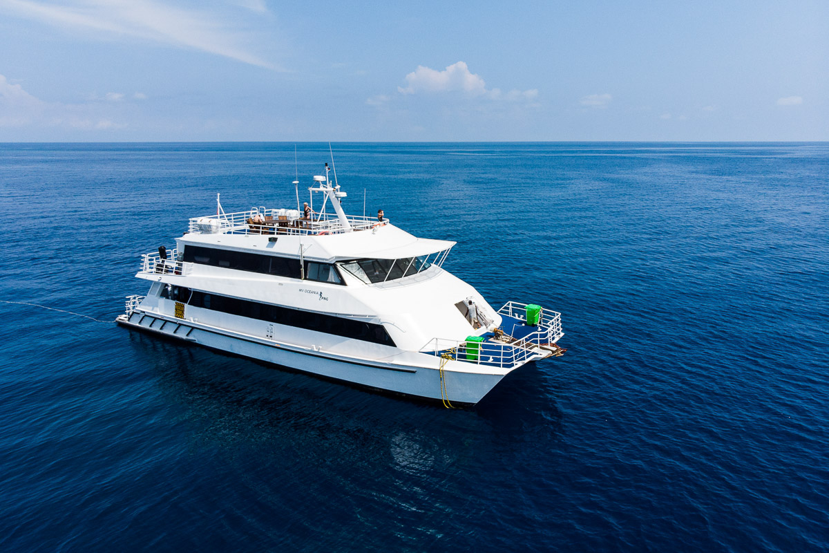 MV Oceania Liveaboard
