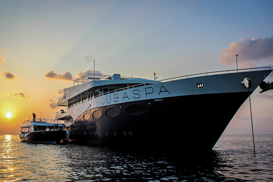 ScubaSpa Yang Liveaboard