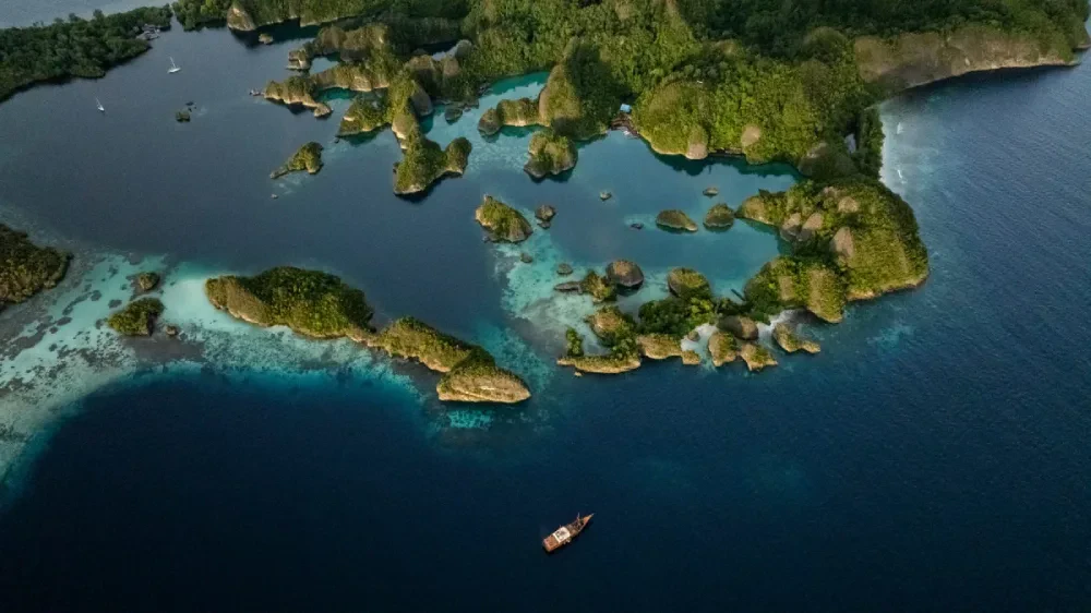 Raja Ampat & Whale Sharks Expedition 2026